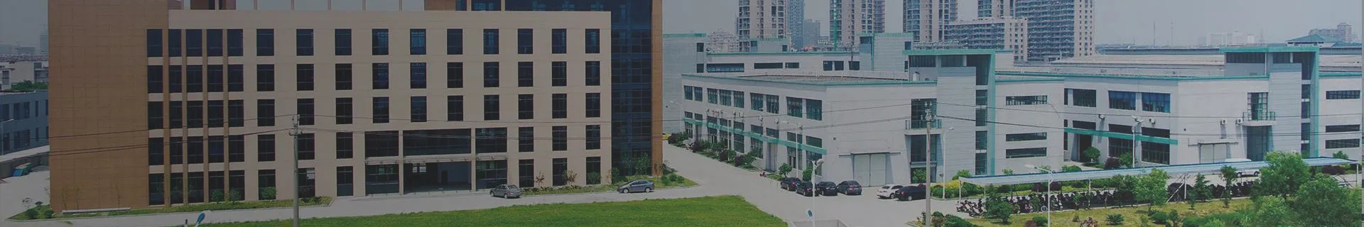 نبذة عن الشركة